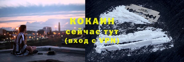 спиды Абаза