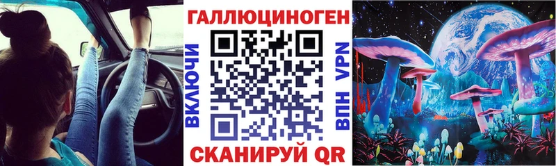 блэк спрут   Тутаев  Галлюциногенные грибы Psilocybe  где купить наркоту 